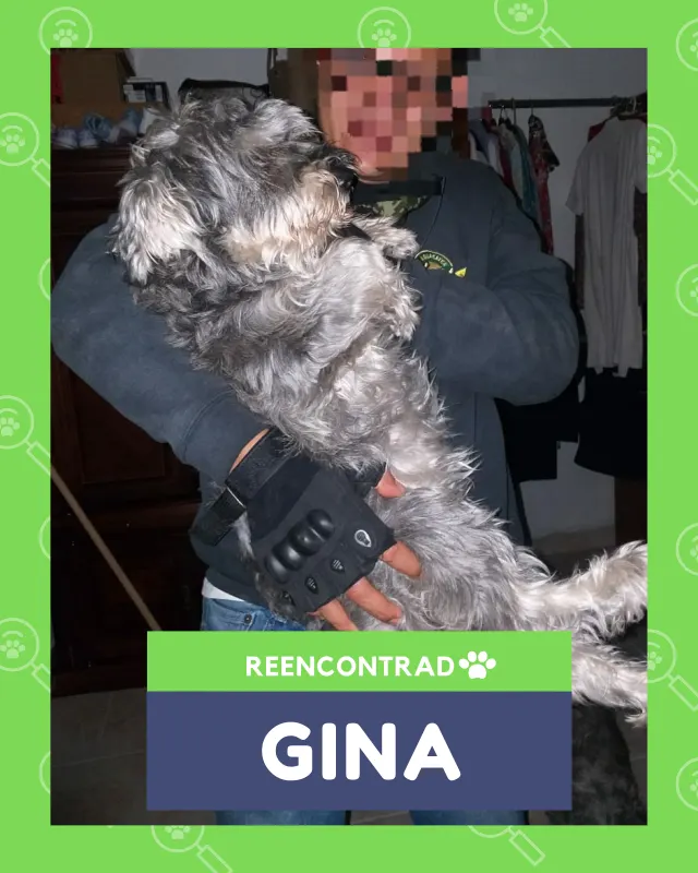 Gina, de vuelta en casa gracias a Soy Huellas