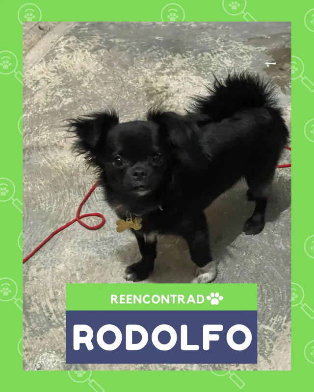 Rodolfo, de vuelta en casa gracias a Soy Huellas
