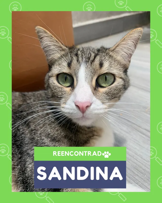 Sandina, de vuelta en casa gracias a Soy Huellas