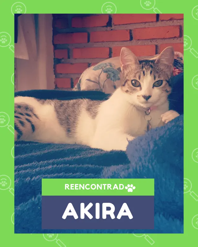 Akira, de vuelta en casa gracias a Soy Huellas